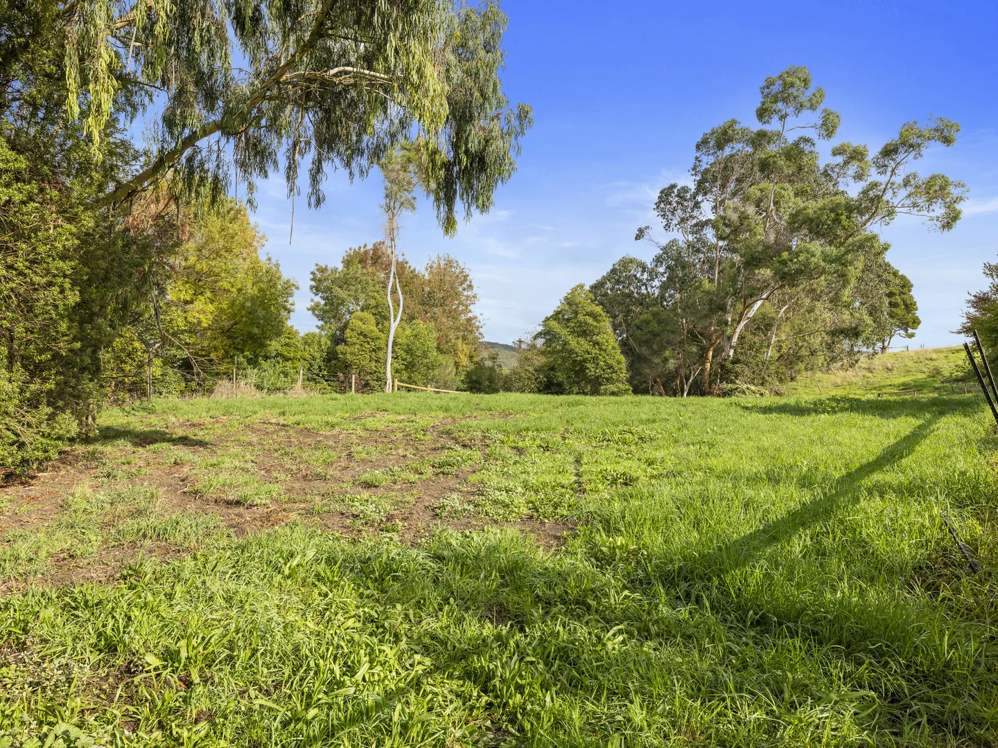 Additional image 19 of 3645 Grand Ridge Road, Mirboo North VIC 3871