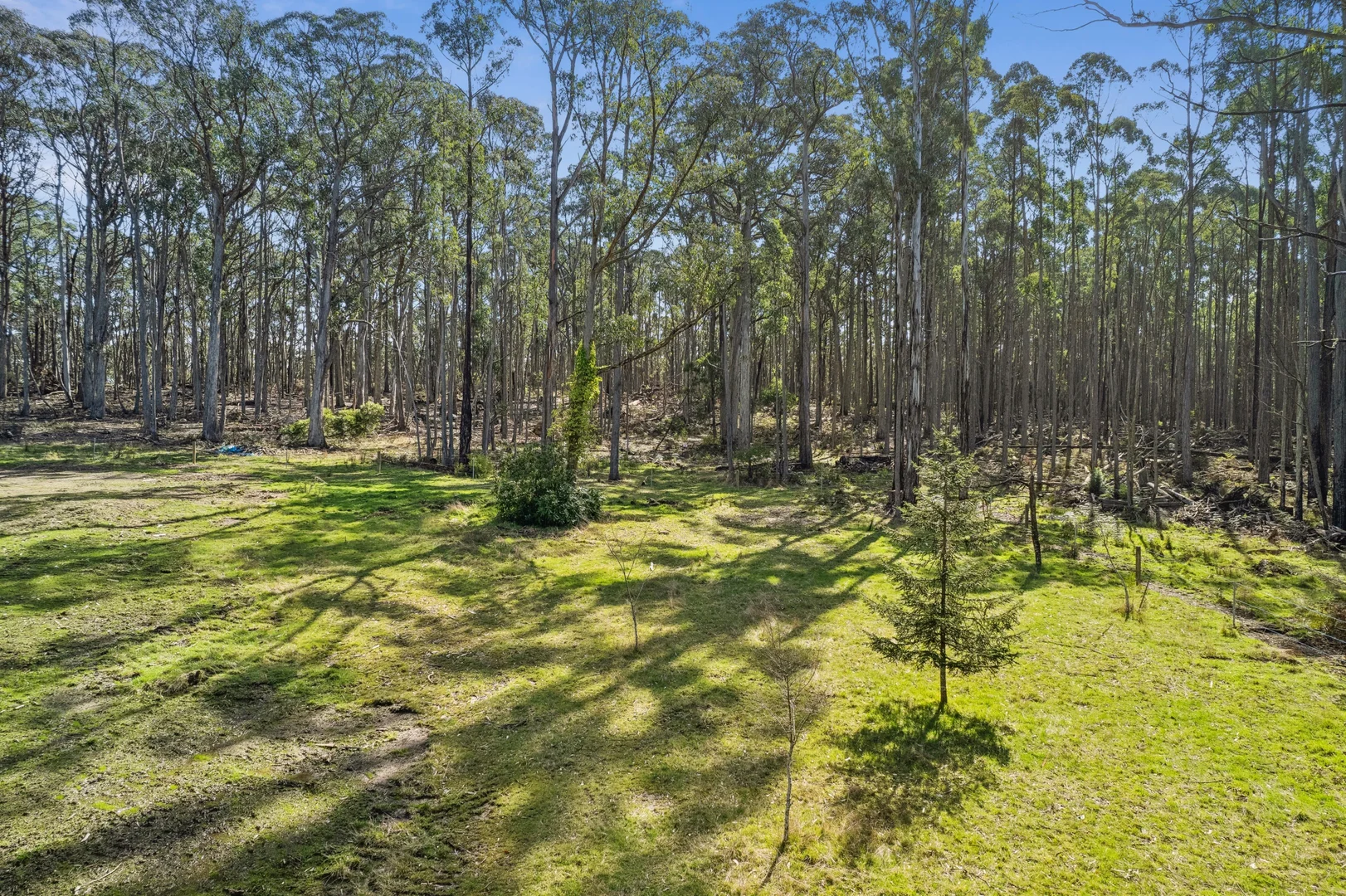 Additional image 7 of 75 Back Settlement Road, Korweinguboora VIC 3461