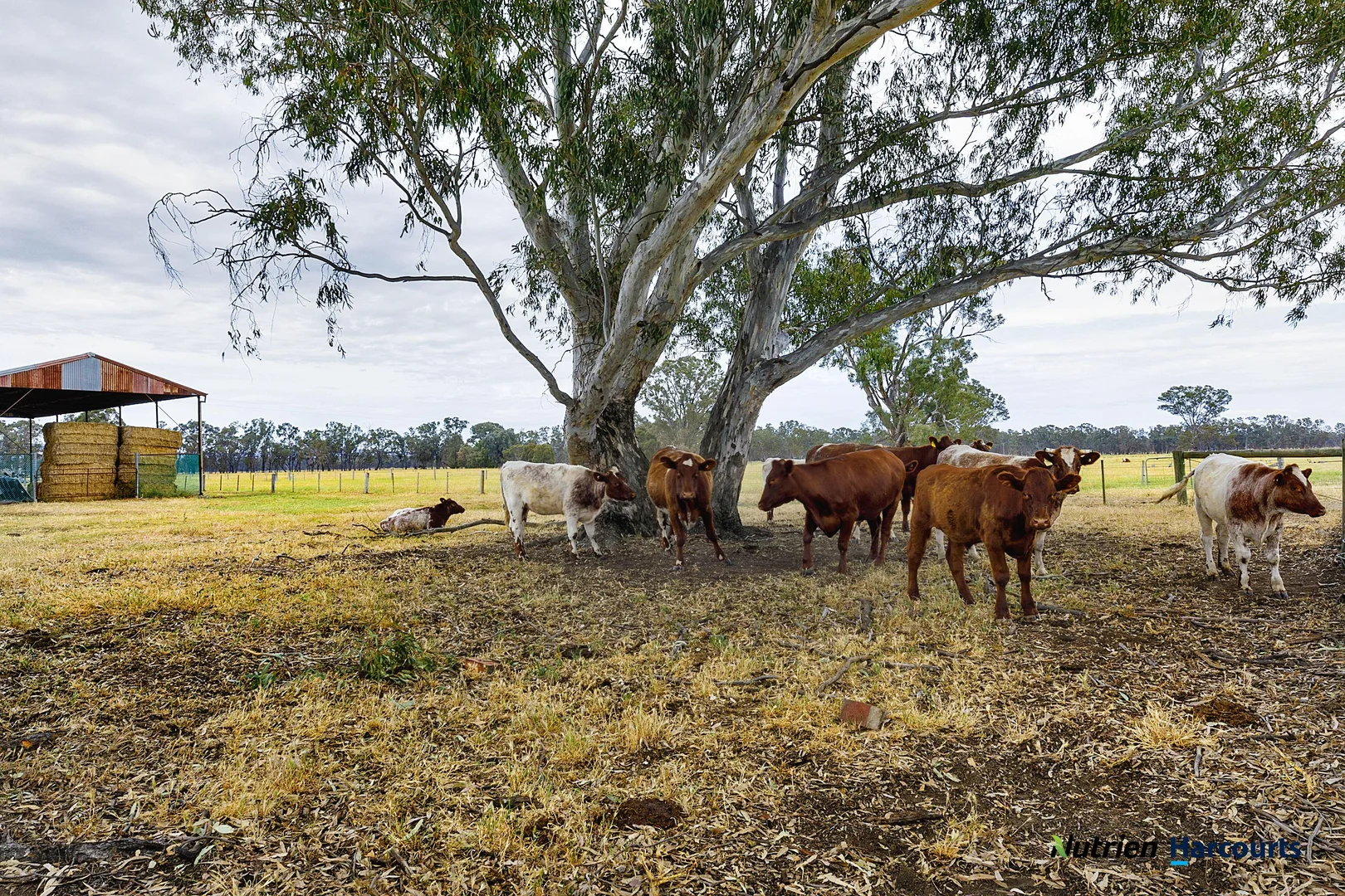 Additional image 3 of 43 Robinson Road, Violet Town VIC 3669