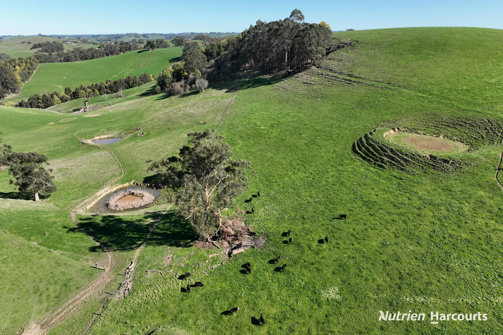Additional image 9 of 37 Sullivans Road, Korumburra VIC 3950