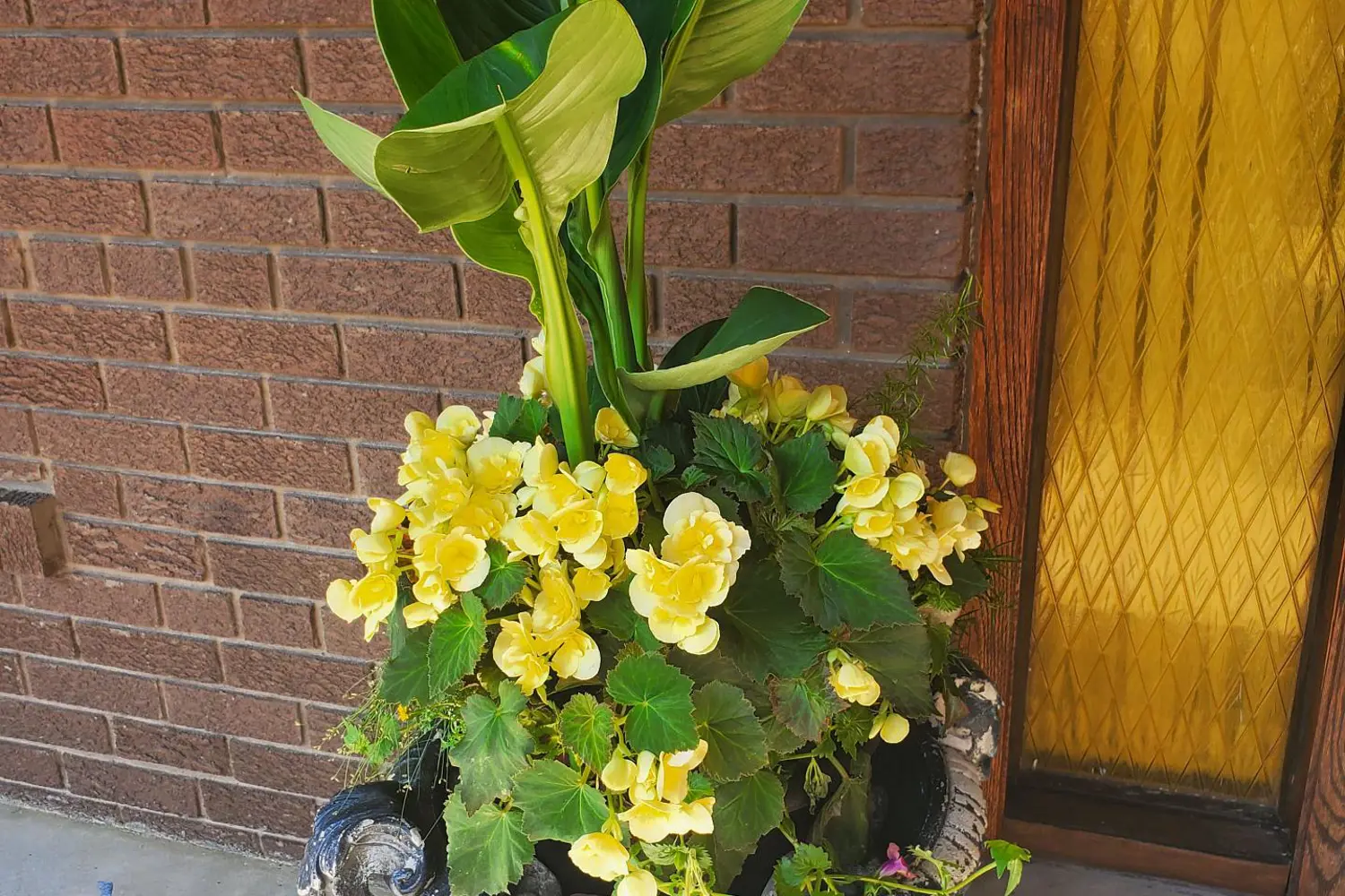 Additional image 2 of 44 Wigwoss Drive