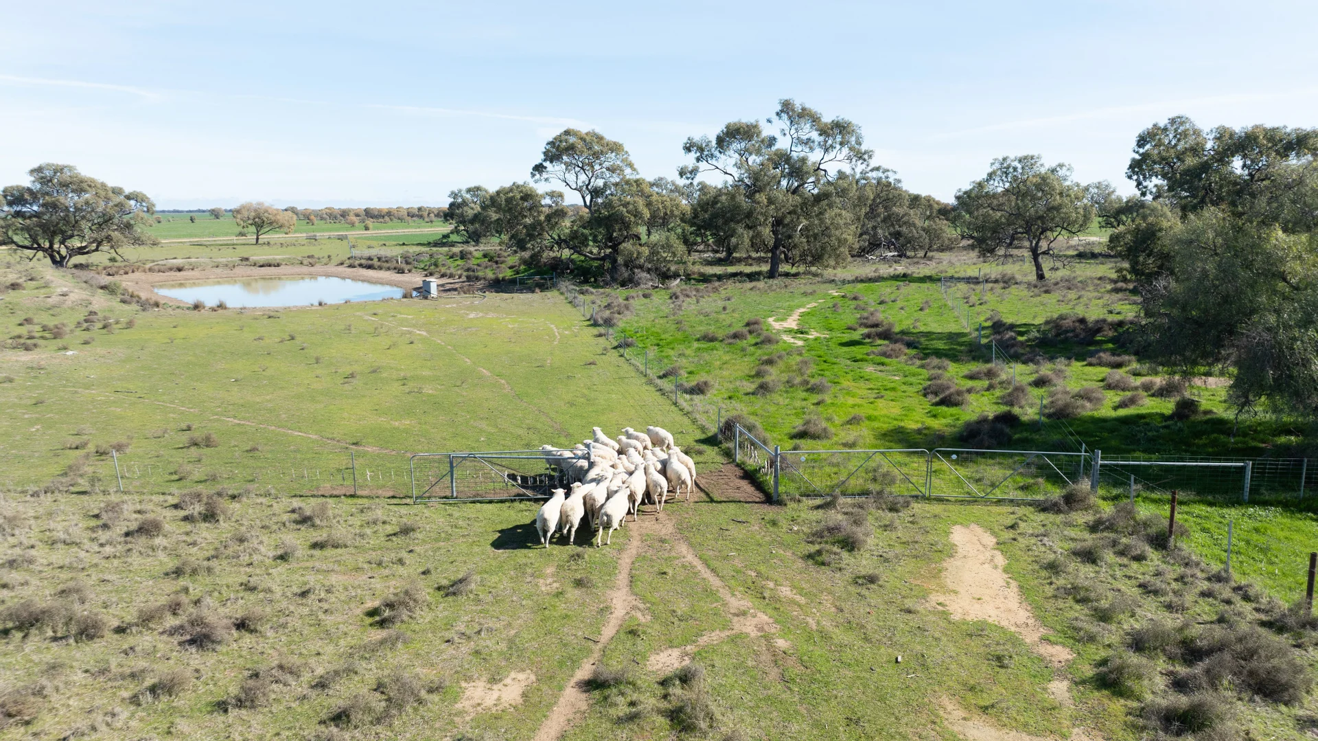 Additional image 19 of Smeatonvale Laterals Boree-Morago Rd, Deniliquin NSW 2710