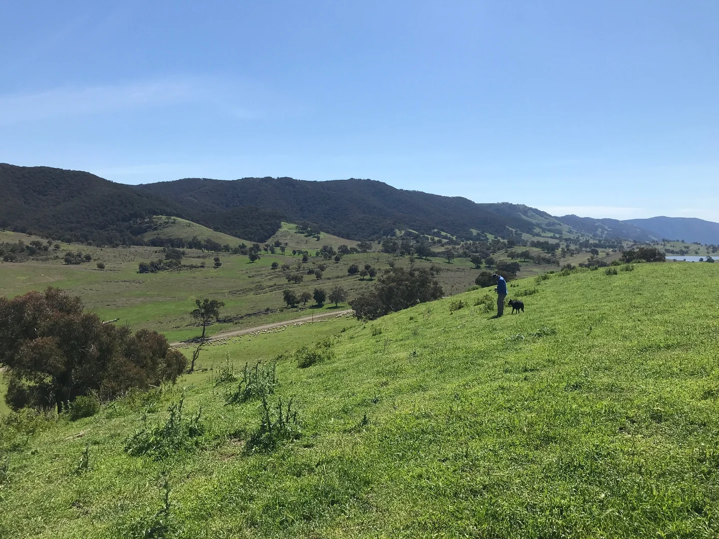 Additional image 28 of 245 Caves Road, Wee Jasper NSW 2582