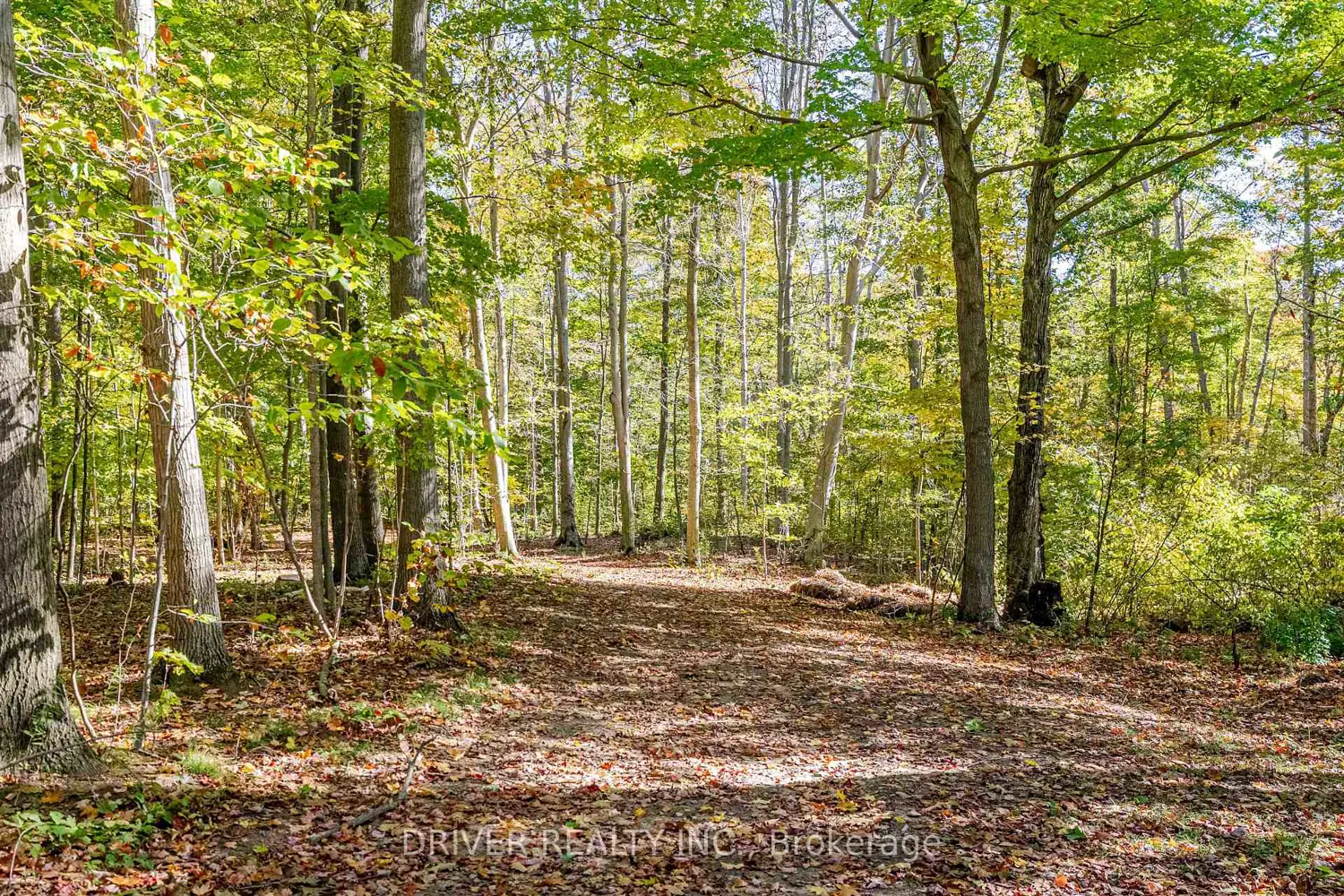 Additional image 11 of 1726 4Th Concession Road