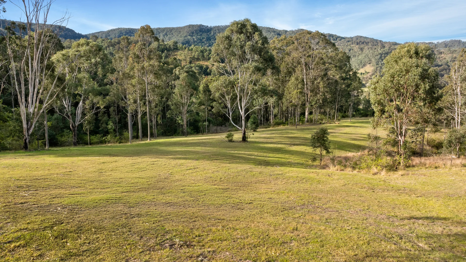 Additional image 6 of 98 Parishs Road, Dungog NSW 2420