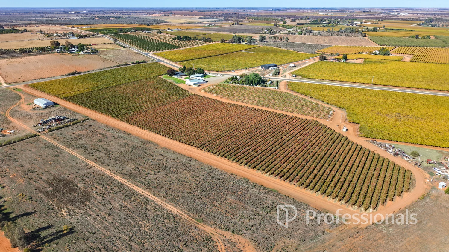 Additional image 10 of 225 Stewart Road, Red Cliffs VIC 3496