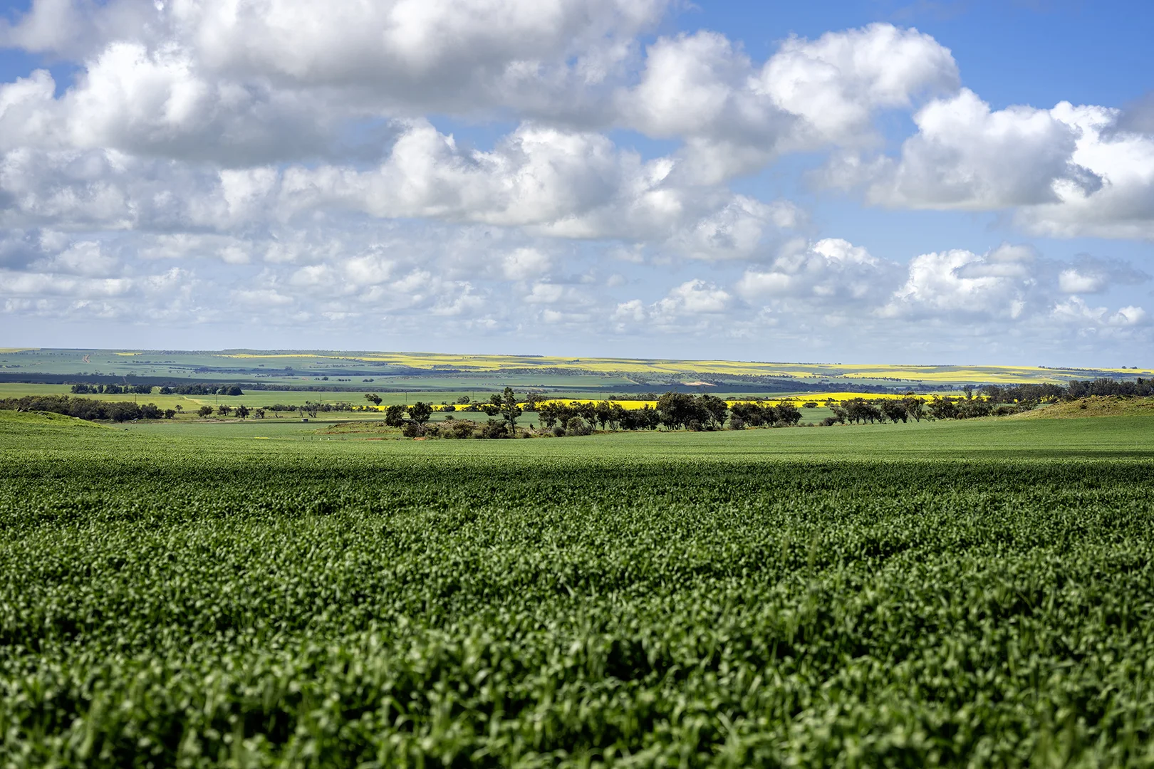 Additional image 19 of 829 Nabawa Northampton Road, Hickety WA 6532