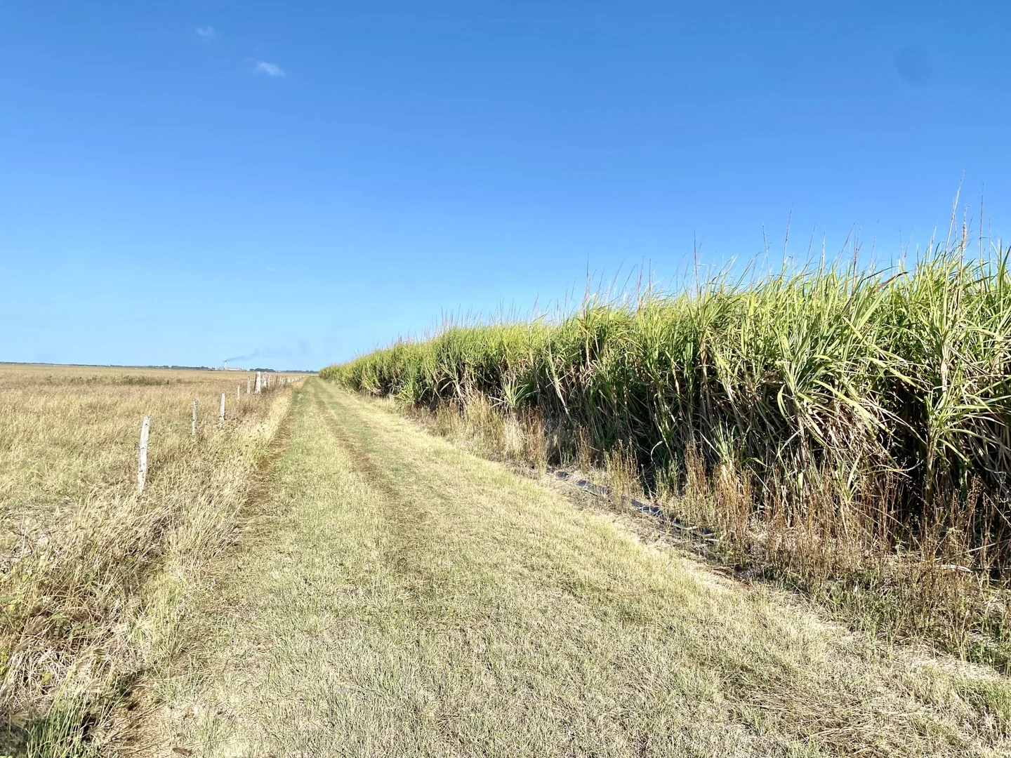 Additional image 9 of 20 Colevale Road, Brandon QLD 4808