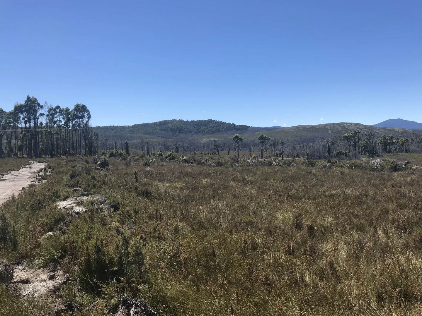 Additional image 4 of 499 Heemskirk Road, Zeehan TAS 7469