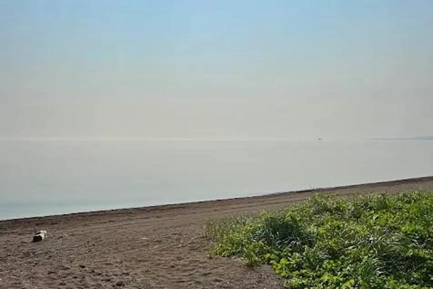 Additional image 6 of 382 Beach Boulevard