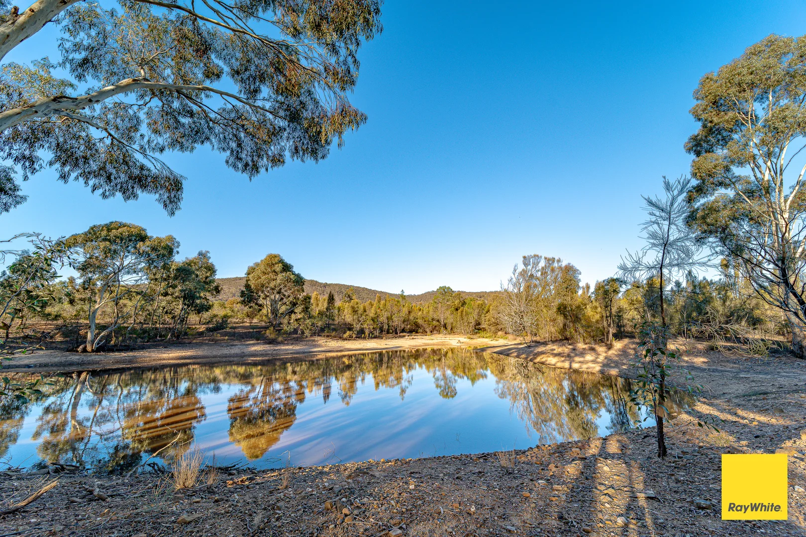 Additional image 25 of 518 Mount Back Road, Tarrengower VIC 3463