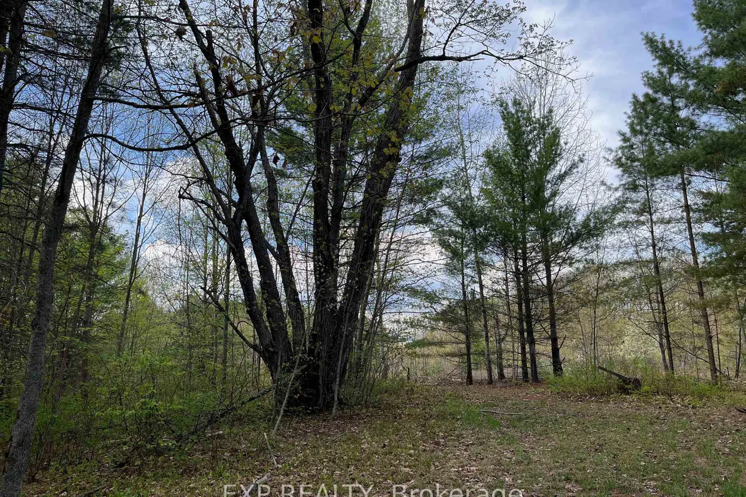 Additional image 7 of Lot 30 Sandy Shores Trail