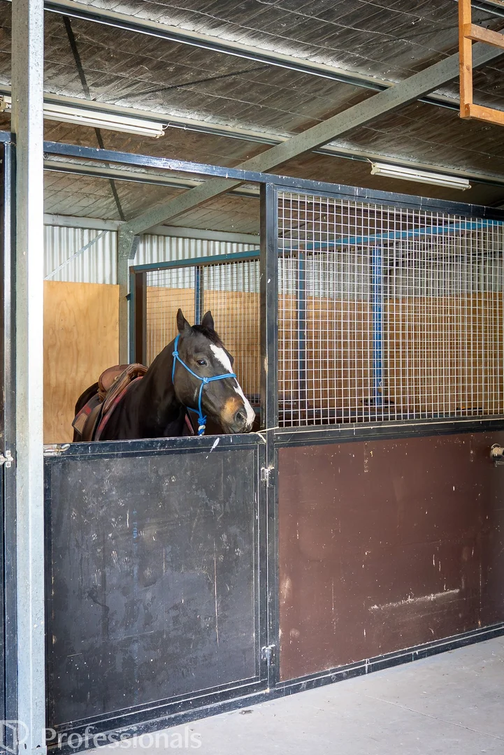 Additional image 30 of 361 Dicksons Lane, Orange NSW 2800