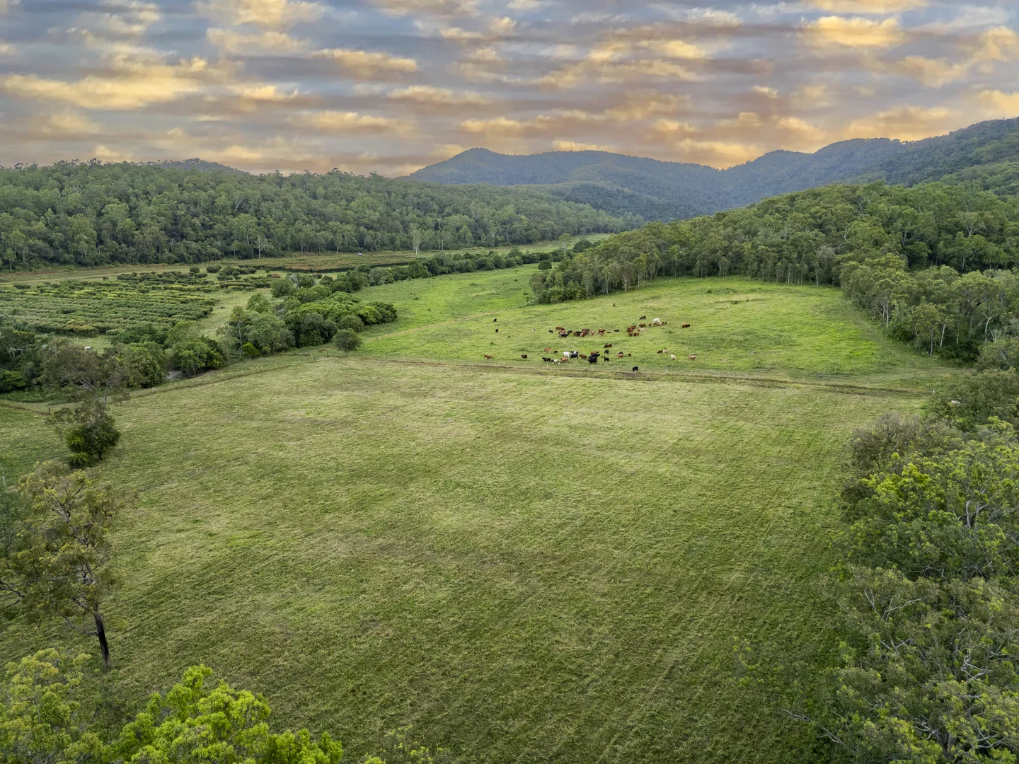 Additional image 15 of 24 Petersen Road, Koumala QLD 4738