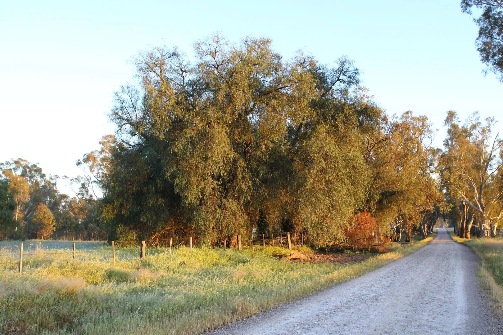 Additional image 12 of Lot/1 Corrys Mill Road, Picola West VIC 3639