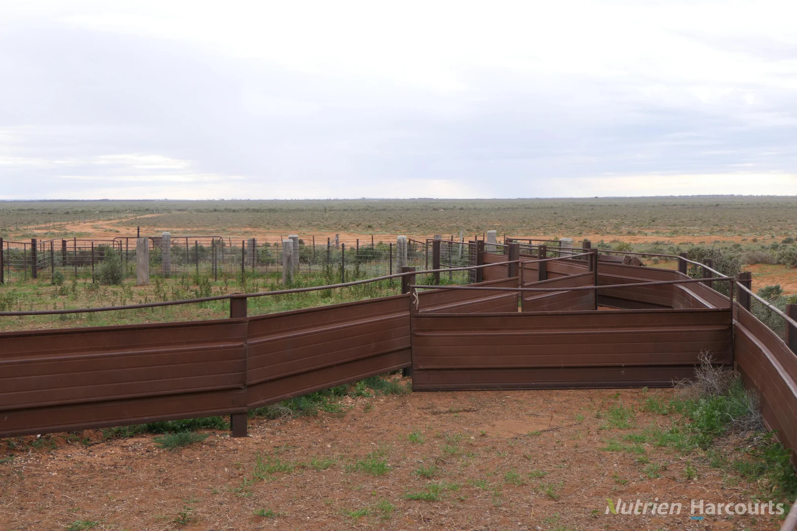 Additional image 22 of * Magenta Aggregation, Balranald NSW 2715