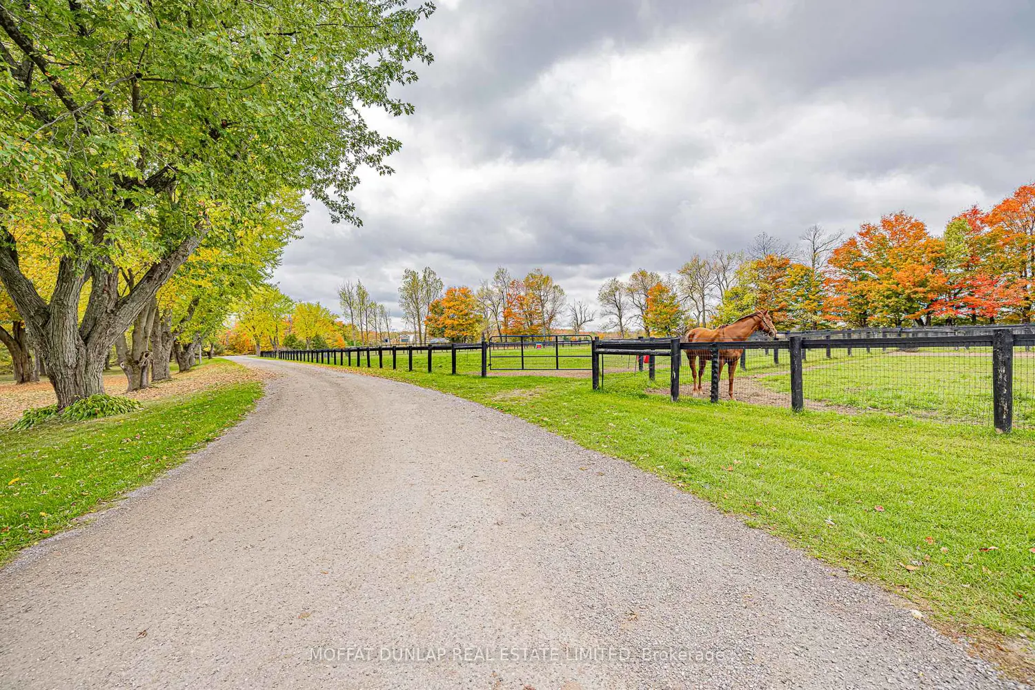Additional image 3 of 18095 Horseshoe Hill Road