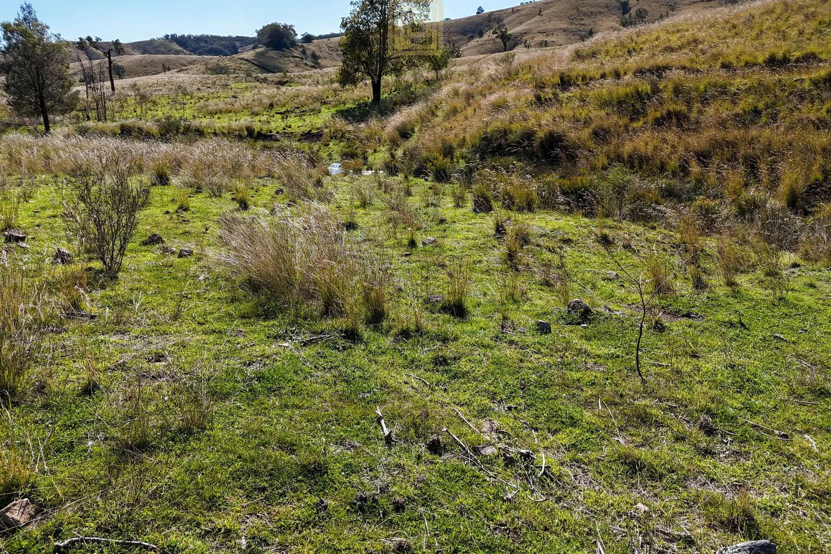 Additional image 19 of DARTHULA Pound Creek Road, Rocky Creek NSW 2390