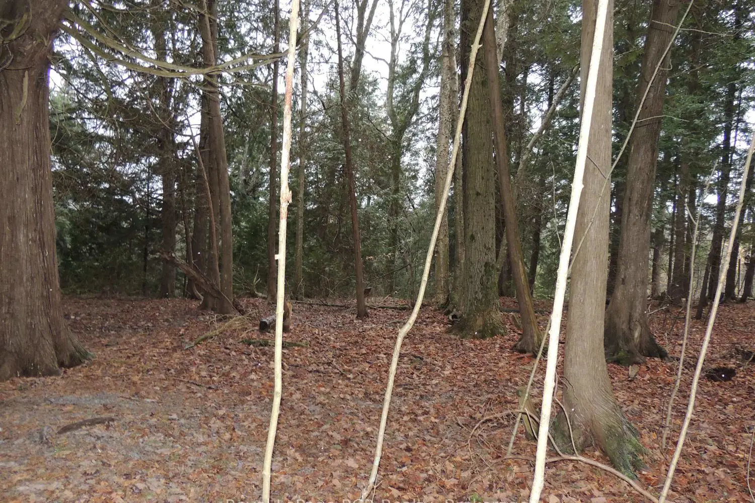 Additional image 5 of Ptlt 48 North Line