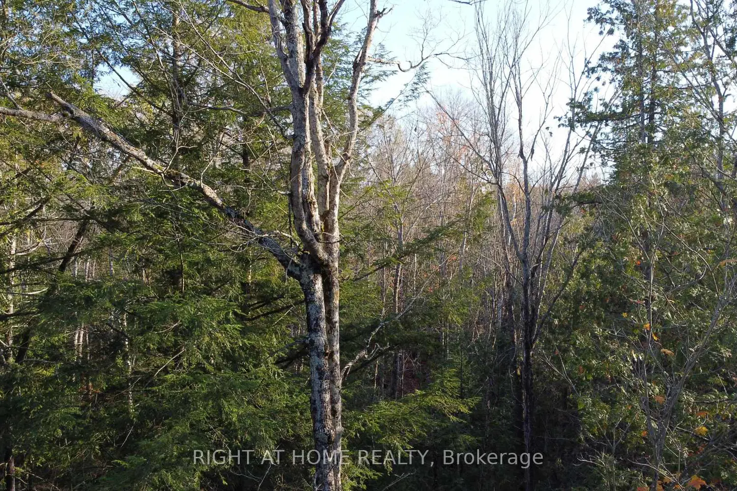 Additional image 3 of 2263 Machar Strong Boundry Road