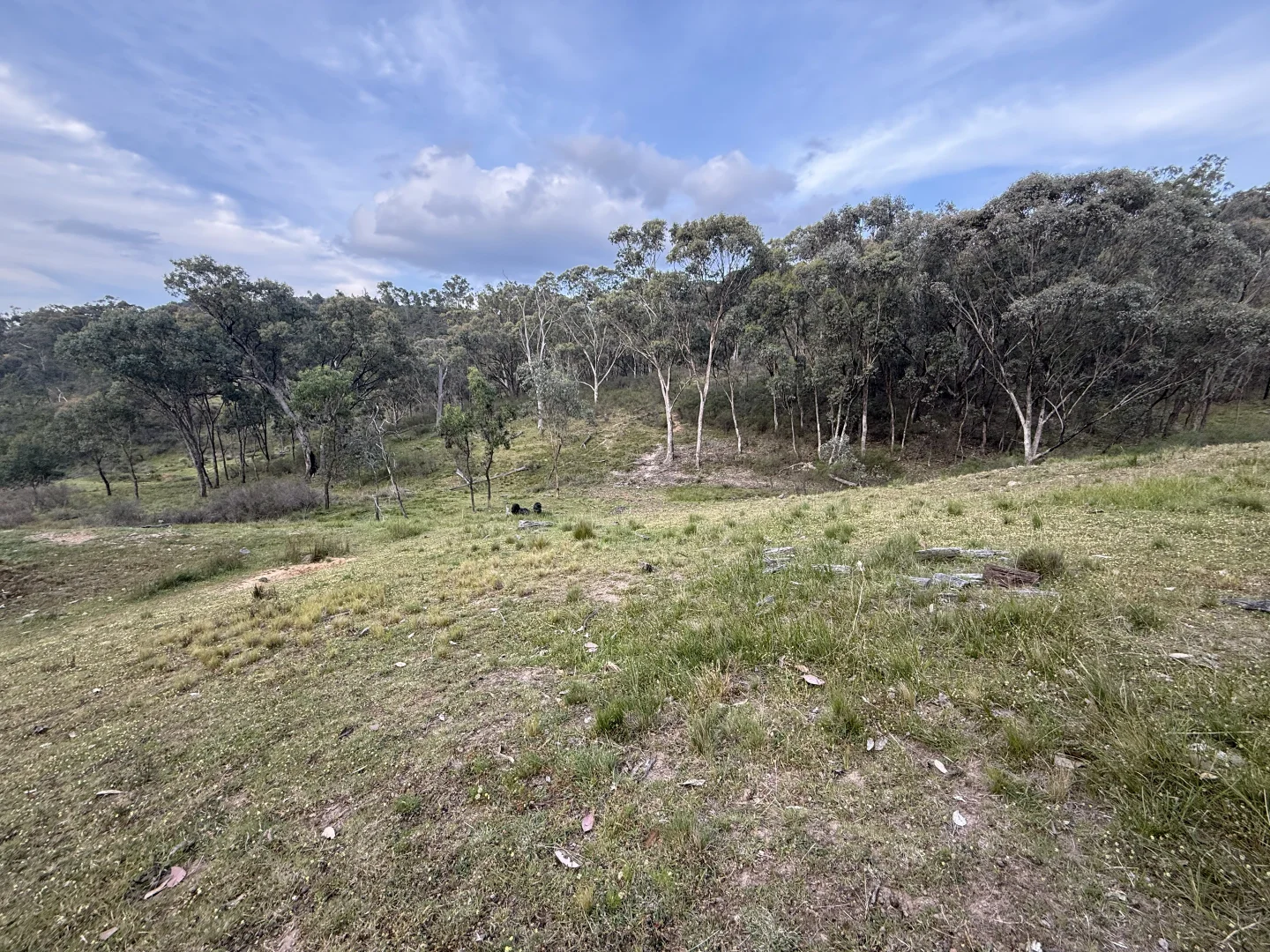 Additional image 7 of 1883 Queens Pinch Road, Mudgee NSW 2850