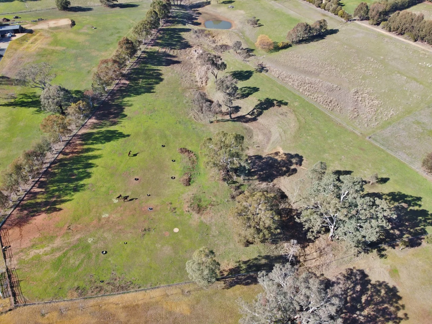 Additional image 11 of 77 Newton Road, Young NSW 2594