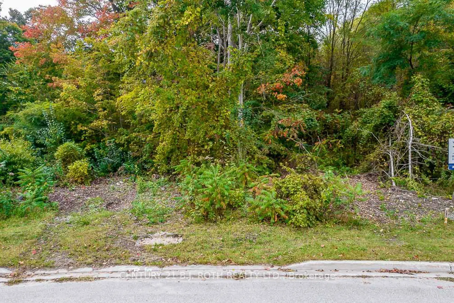 Additional image 6 of 548 Taylor Drive