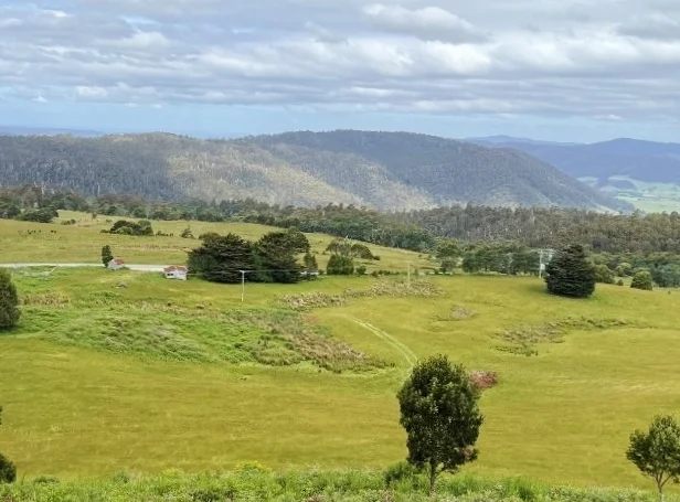 Additional image 6 of 29731 Tasman Highway, Weldborough TAS 7264