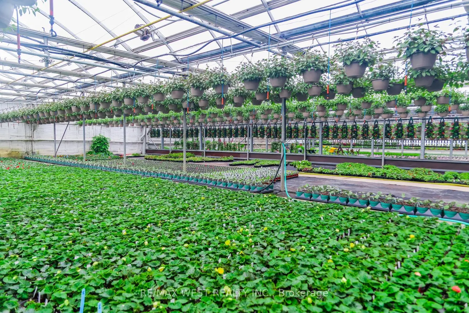 Additional image 17 of 11871 Cold Creek Road