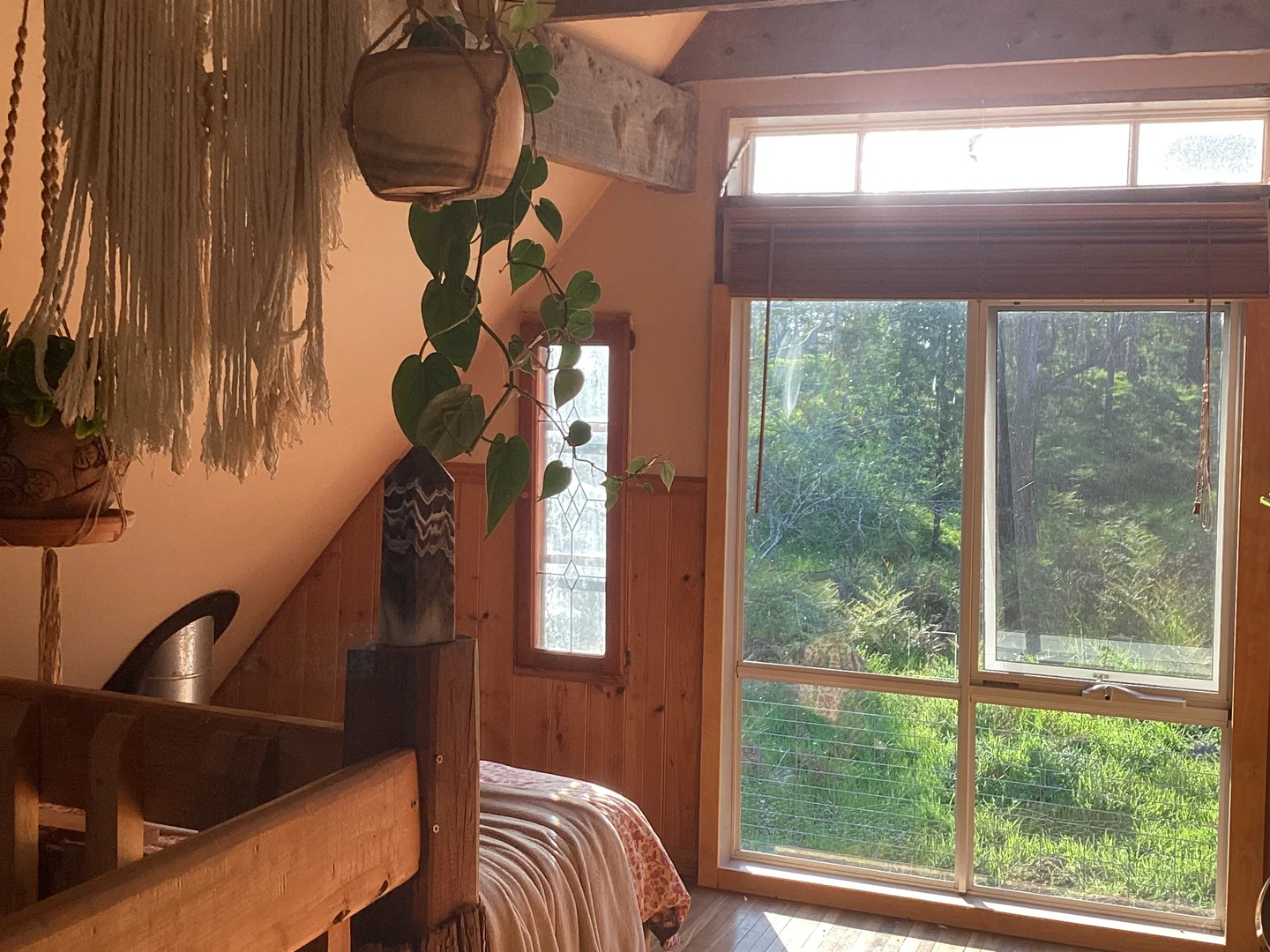 Additional image 7 of Carpendeit VIC 3260