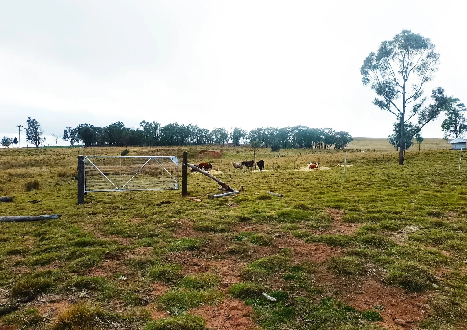 Additional image 2 of 22 Cainbill Road, Coolah NSW 2843