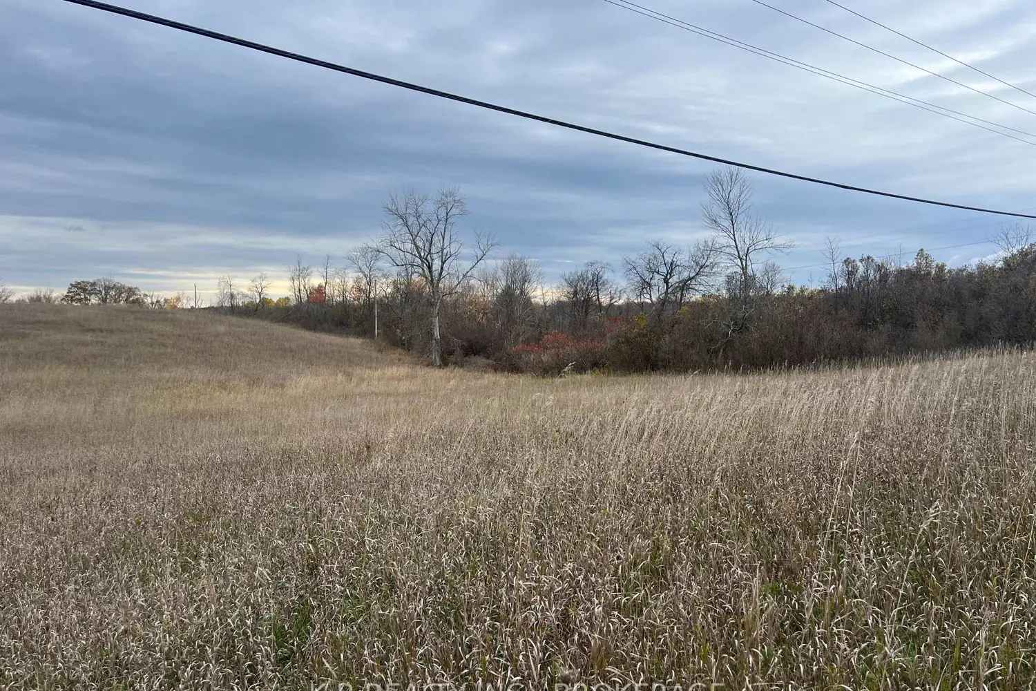Additional image 3 of 6562 County 4 Road