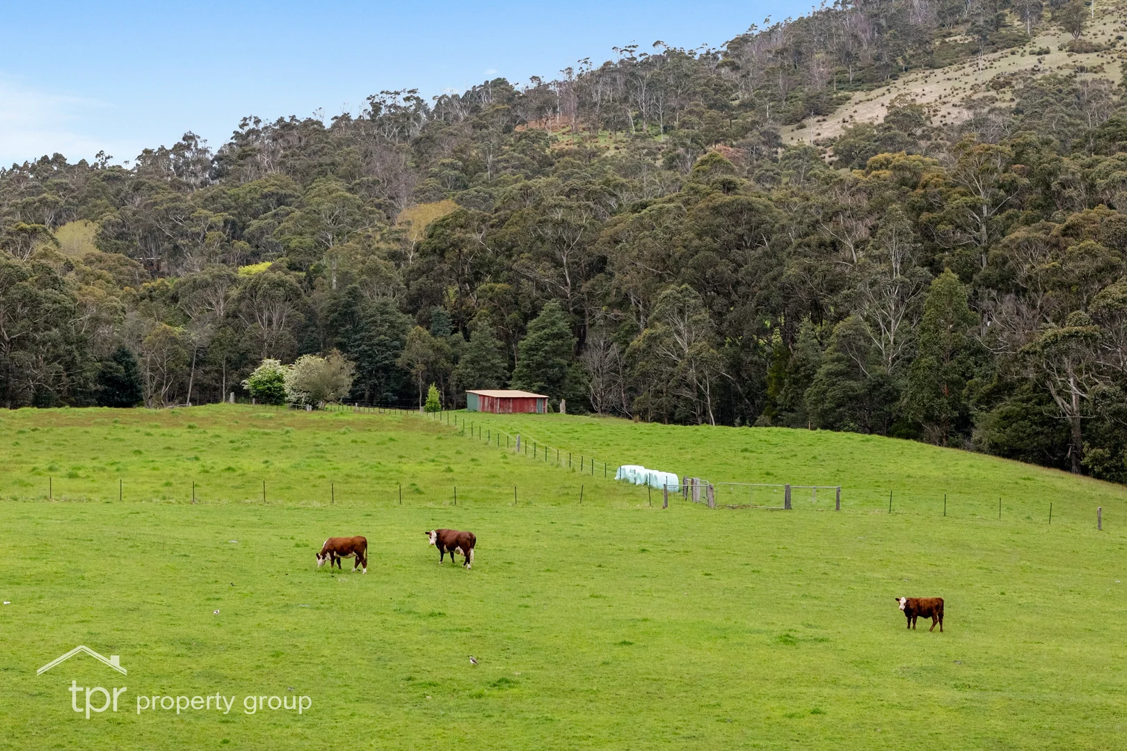 Additional image 31 of 4695 Huon Highway, Geeveston TAS 7116