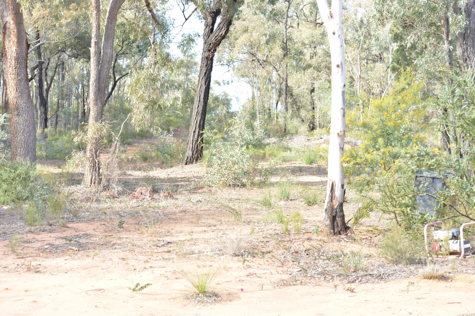 Additional image 10 of 97 Aquilla Ave, Dandry NSW 2357