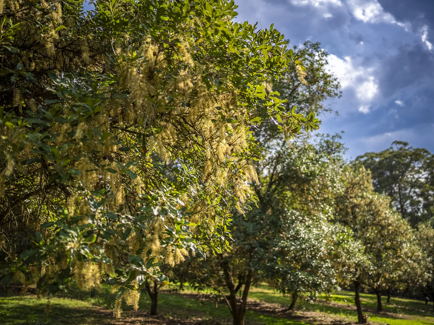 Additional image 4 of 70 Aural Vale Road, North Deep Creek QLD 4570