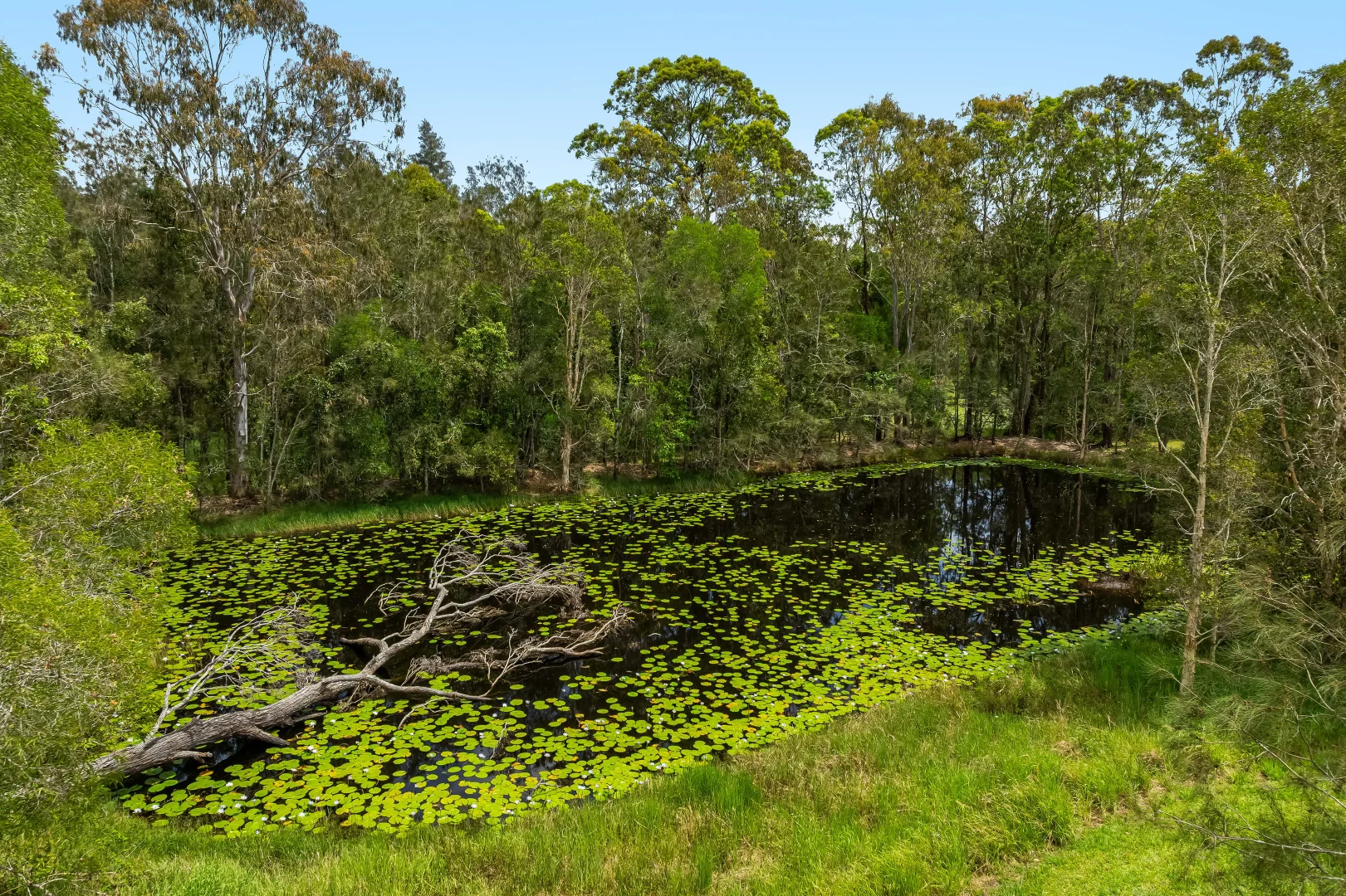 Additional image 23 of 360 James Creek Road, James Creek NSW 2463