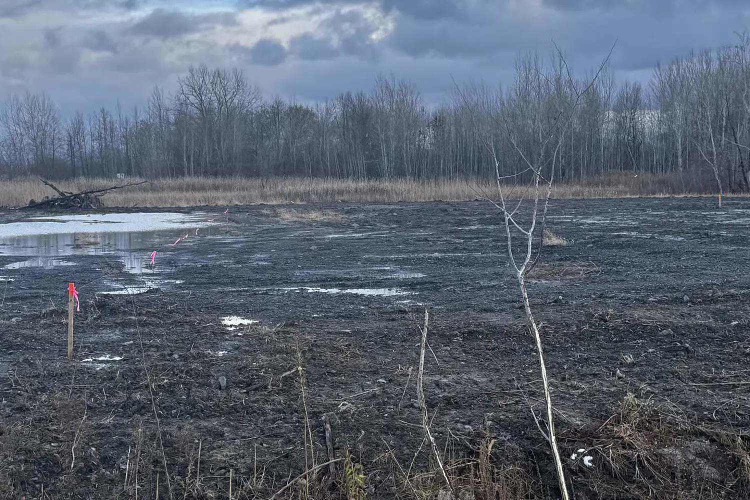 Additional image 2 of Lot 3 South Beech Street