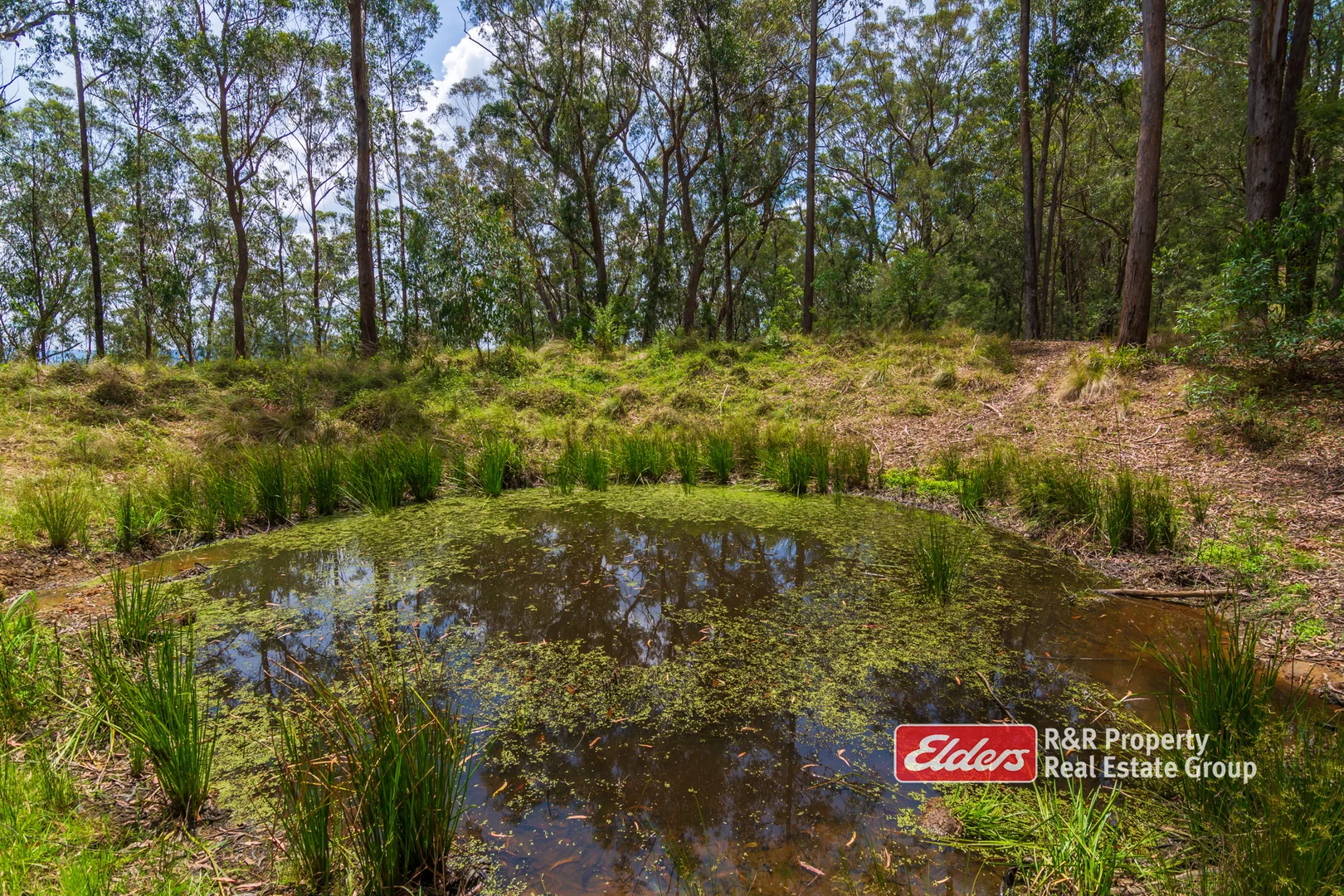 Additional image 24 of 2241 Curricabark Road, Dewitt NSW 2422