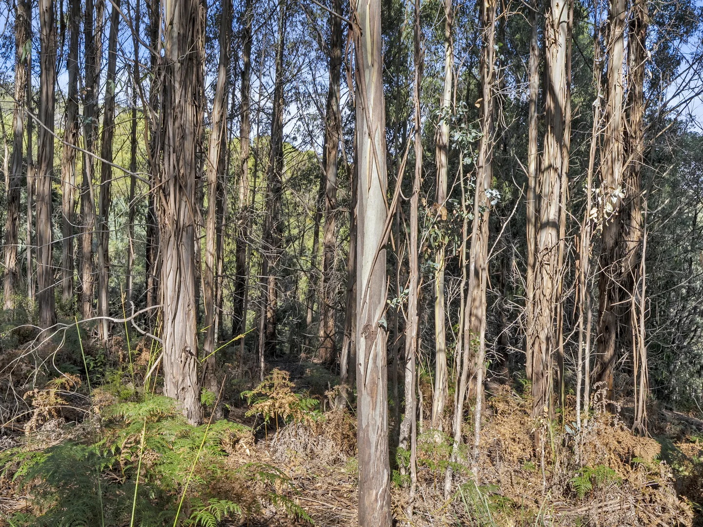 Additional image 26 of 120 Tip Road, Nubeena TAS 7184