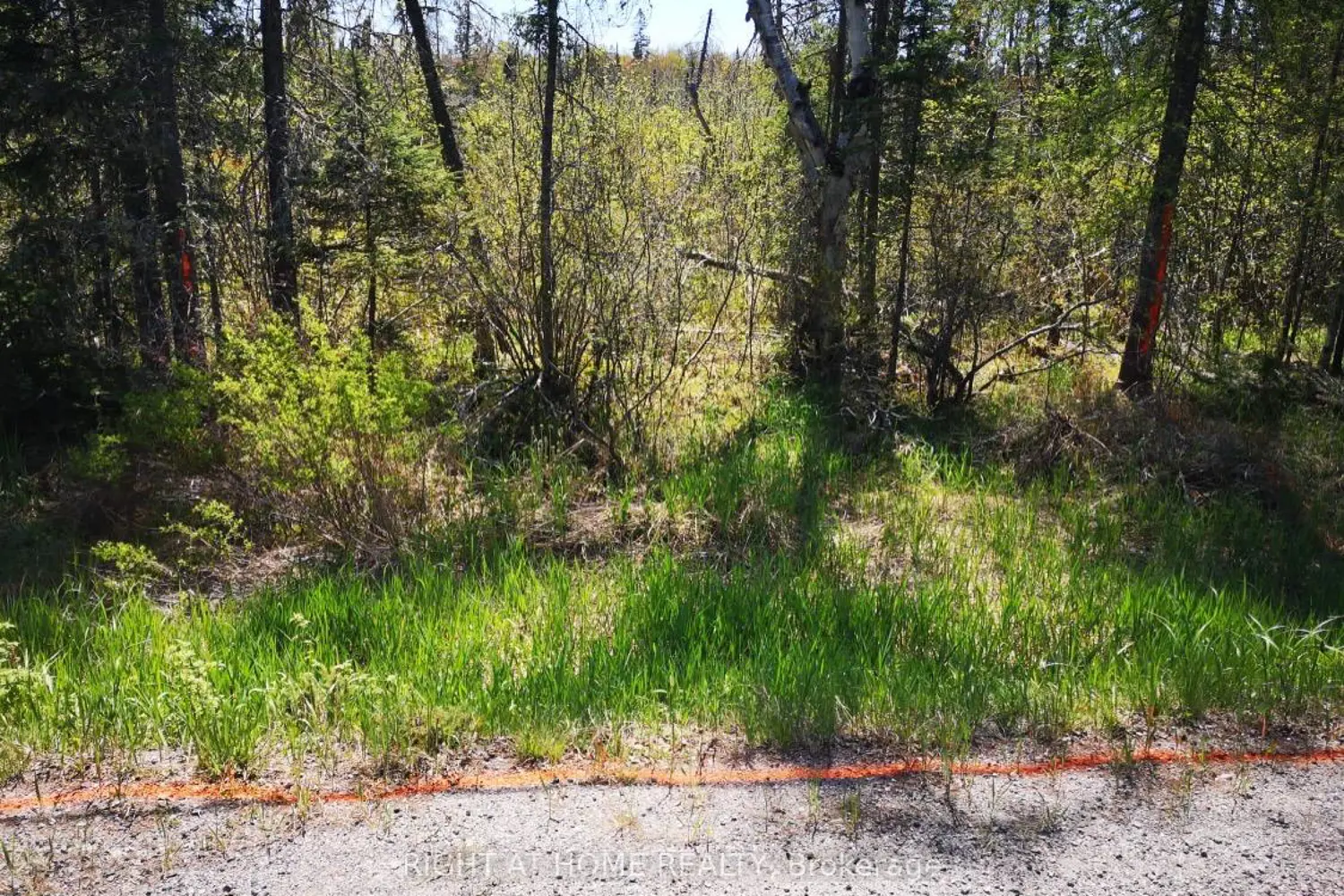 Additional image 6 of 2263 Machar Strong Boundry Road