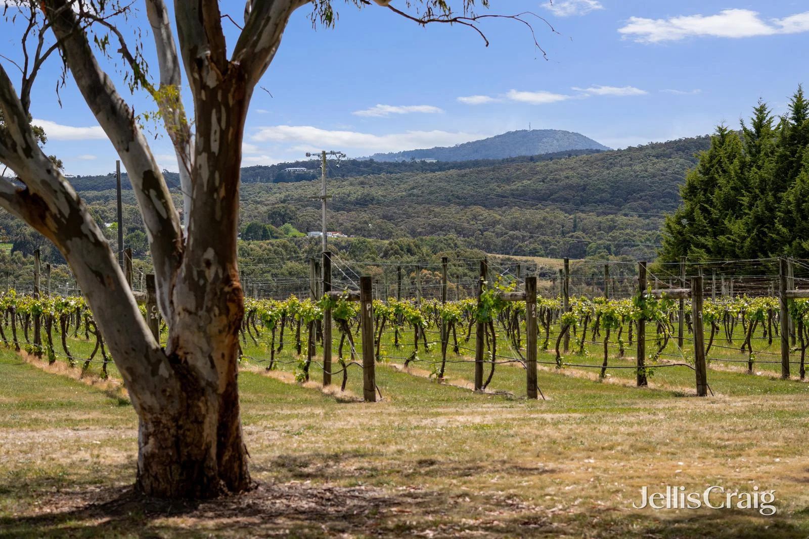 Additional image 2 of 860 Buninyong Mt Mercer Road, Garibaldi VIC 3352