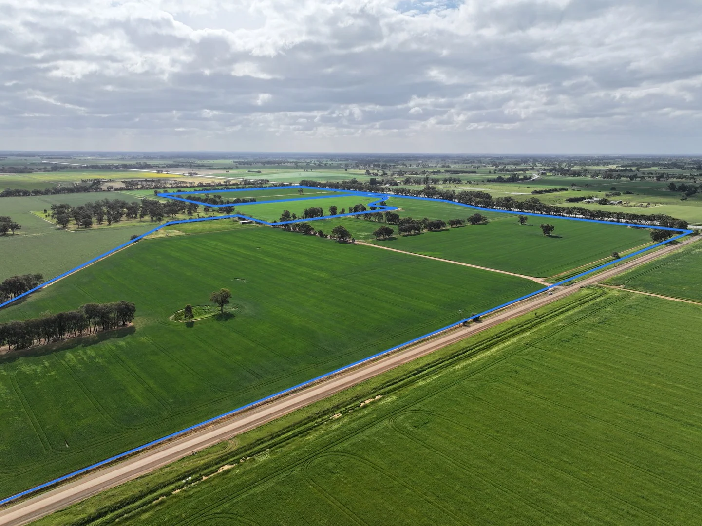 556 Lowe Road, Rochester VIC 3561