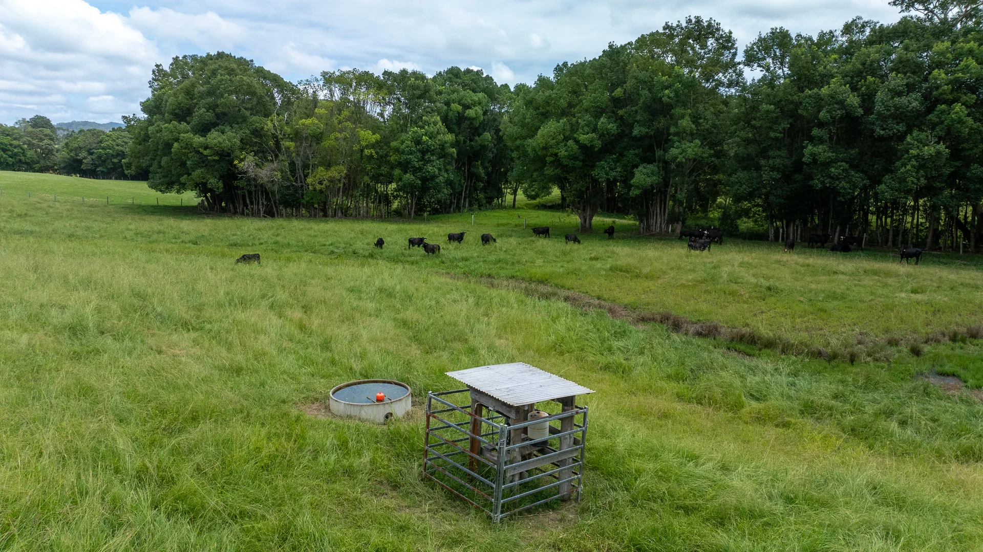 Additional image 32 of 300 Martells Road, Bellingen NSW 2454