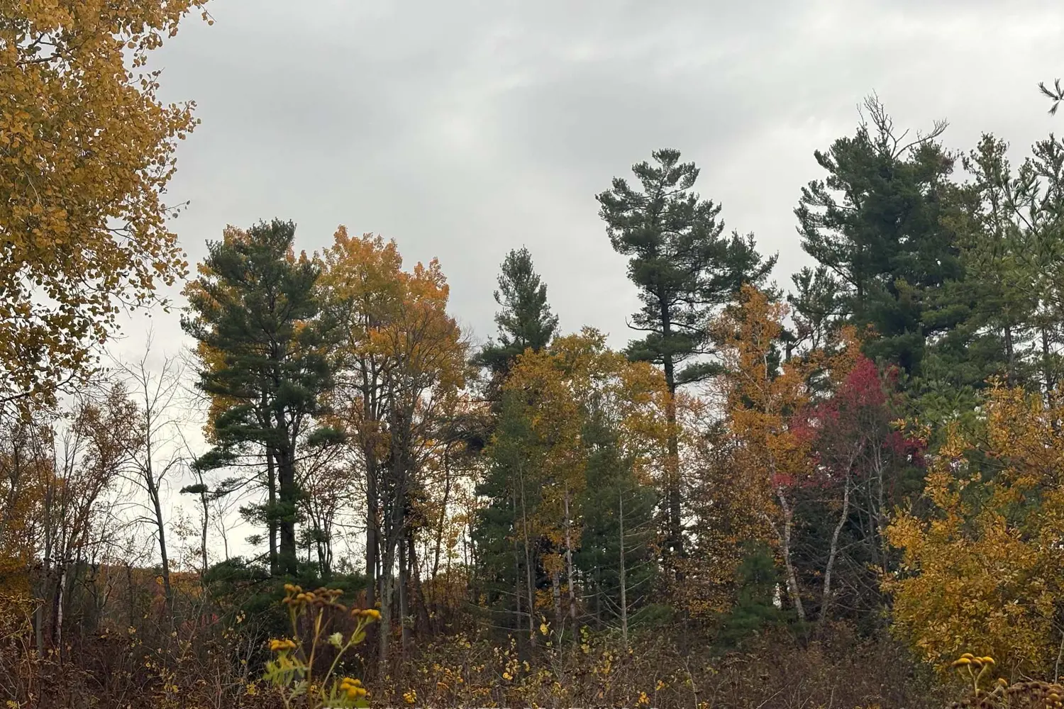 Additional image 3 of 0 Godolphin Road