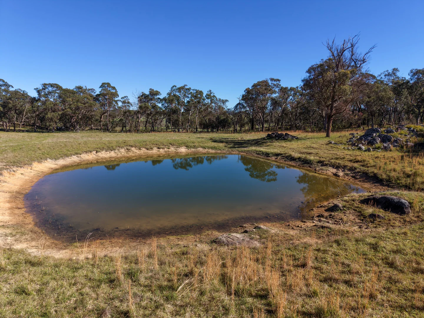 Additional image 28 of 2153 Mount Lindesay Road, Tenterfield NSW 2372