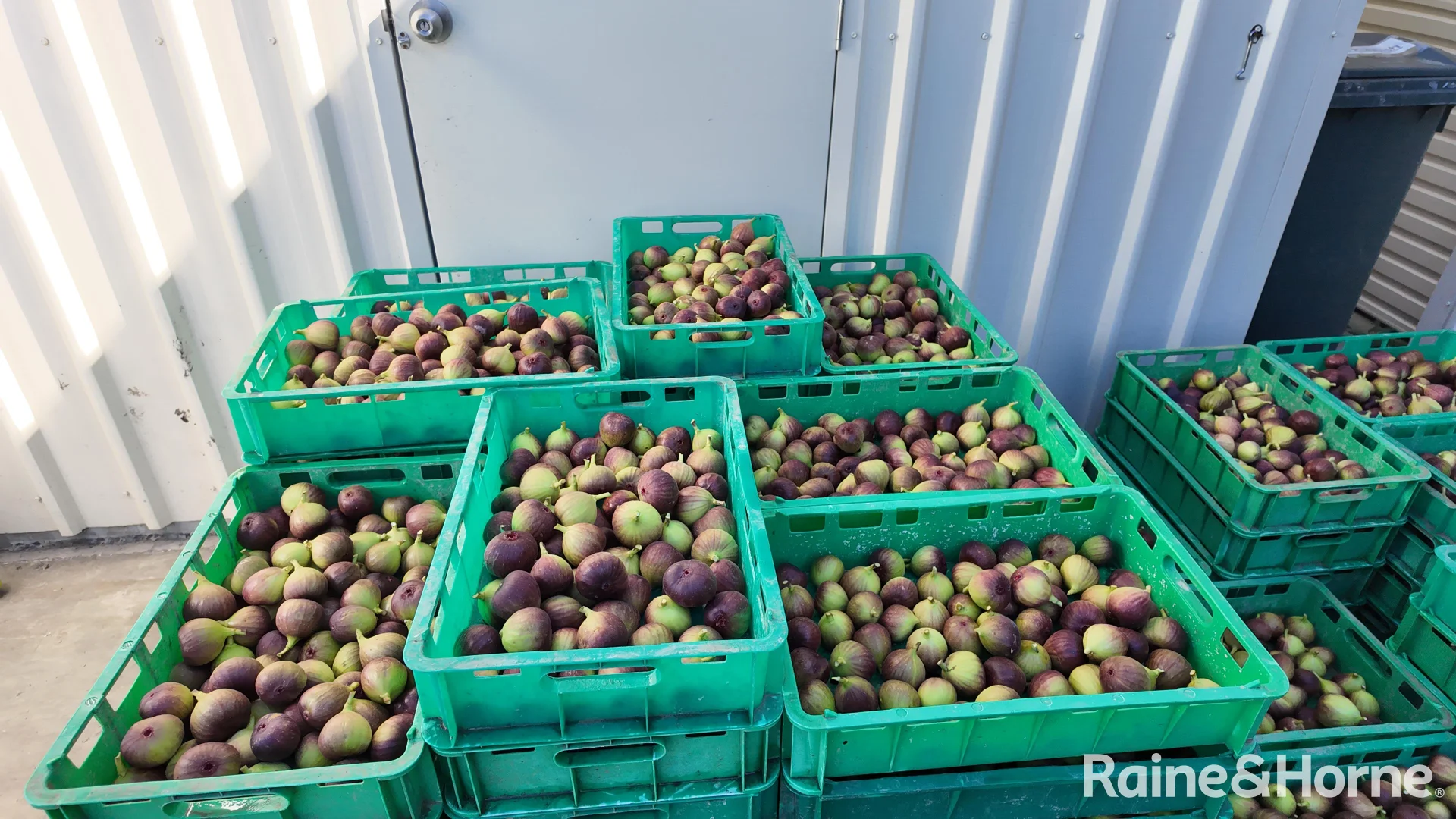 Additional image 4 of 135 Newlands Road, North Gregory QLD 4660