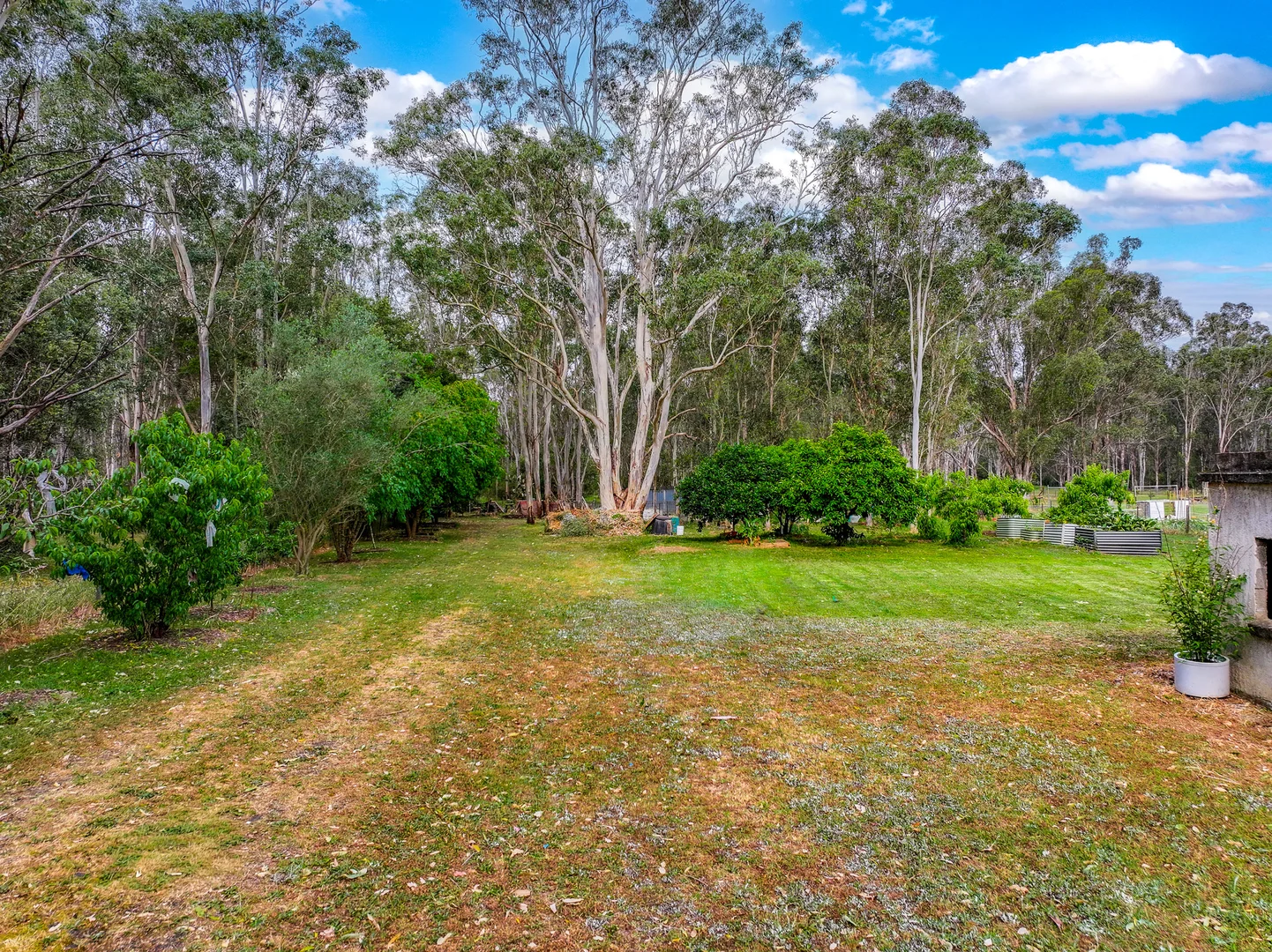 Additional image 12 of 127 Jersey Road, Bringelly NSW 2556
