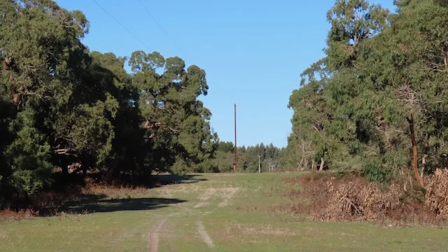 Additional image 11 of 225 Coles-Killanoola Road, Coles SA 5272