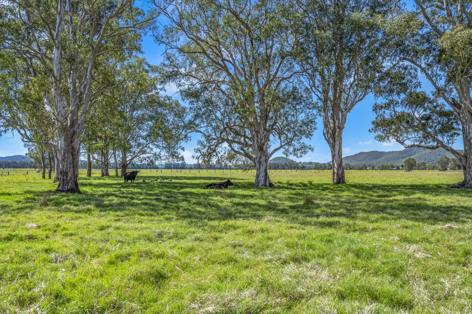 Additional image 4 of Brandon View |1102 Seaham Road, Seaham NSW 2324