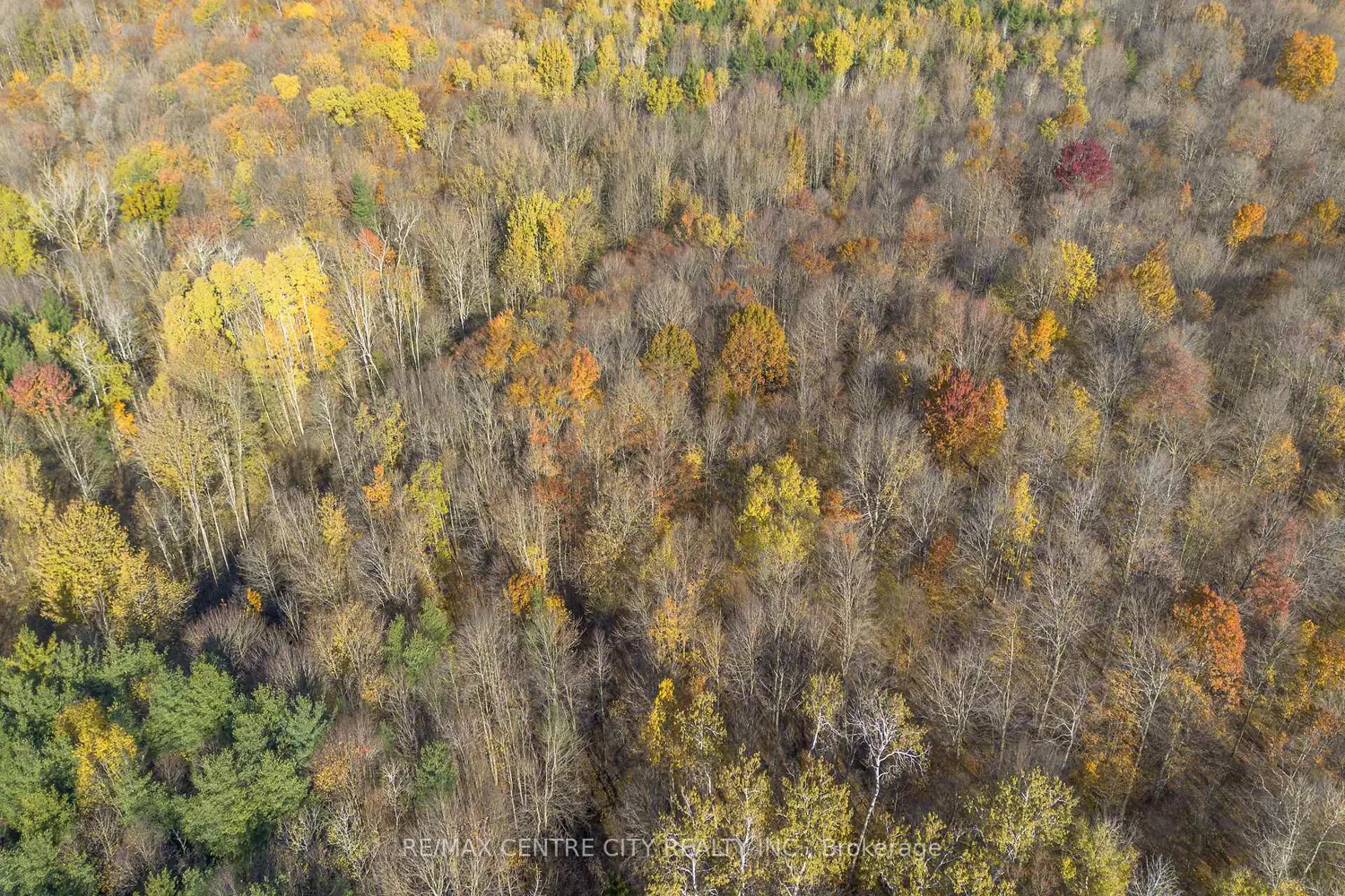 Additional image 13 of Pt Lt 140&141 Col Talbot Road